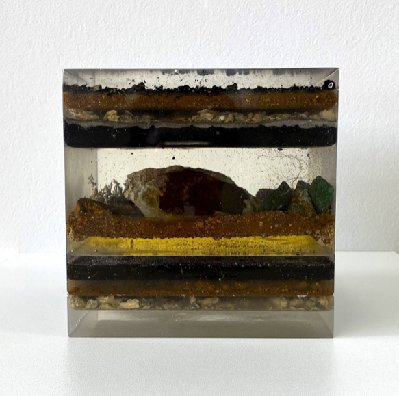 Expiriens. Serie Conservation