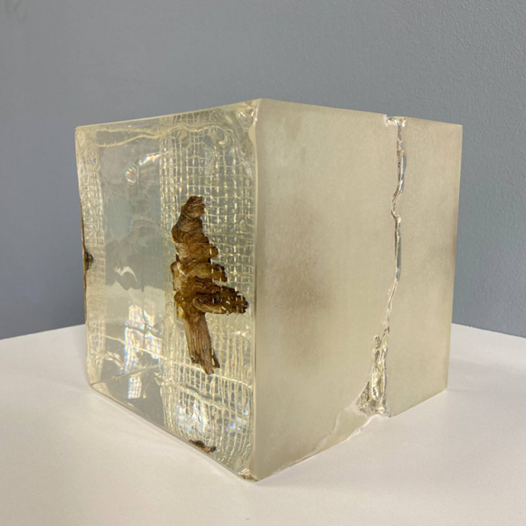 Loneliness. Serie Conservation