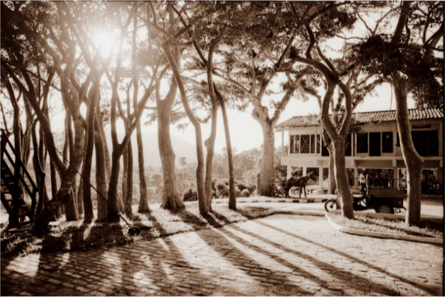 Placita de Las Terrazas
